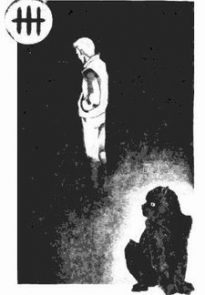 Жук в муравейнике